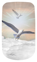 DAROYAL-101-BZ Journey Home Clouds Birds Bronze